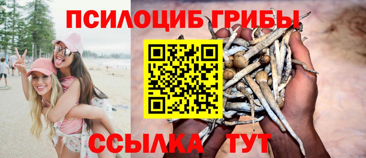 Псилоцибиновые грибы мухоморы  сколько стоит  Биробиджан  Галлюциногенные грибы мухоморы  Вход с VPN 